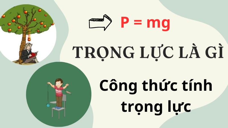 Cập nhật công thức tính trọng lực chuẩn nhất | Lý thuyết về trọng lực