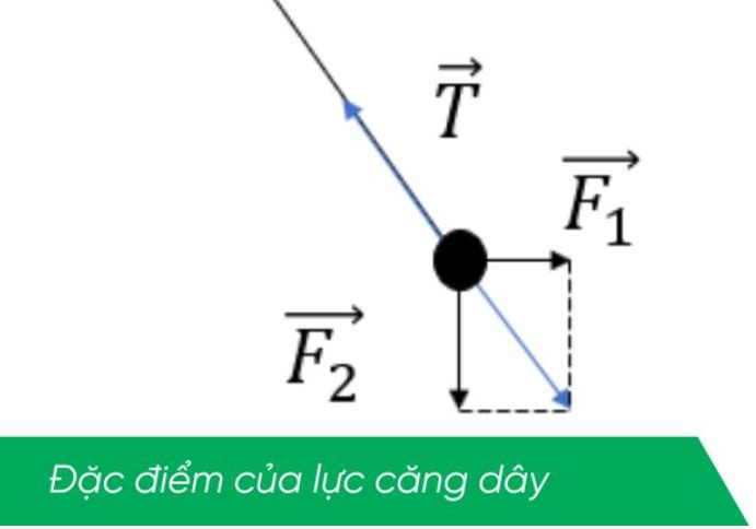 Các dạng lực kéo đặc biệt và cách tính toán