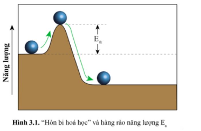 Các phương pháp xác định năng lượng hoạt hóa