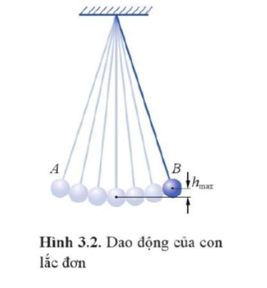 Các yếu tố ảnh hưởng đến thế năng con lắc đơn