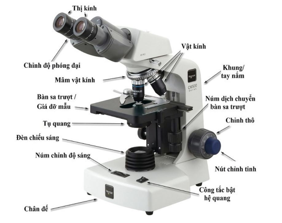 Cấu tạo và nguyên lý hoạt động của kính hiển vi quang học