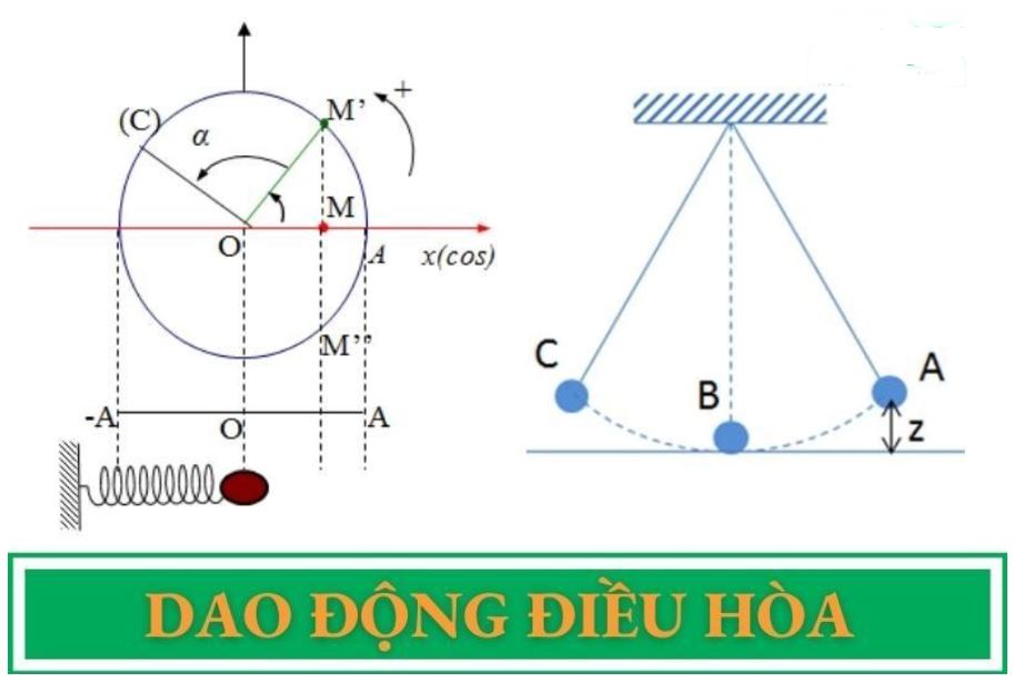 Khái niệm và đặc điểm của dao động điều hòa