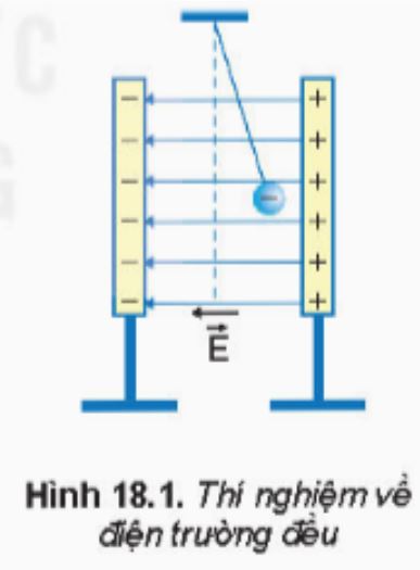 Khái niệm và đặc điểm của điện trường đều trong vật lý