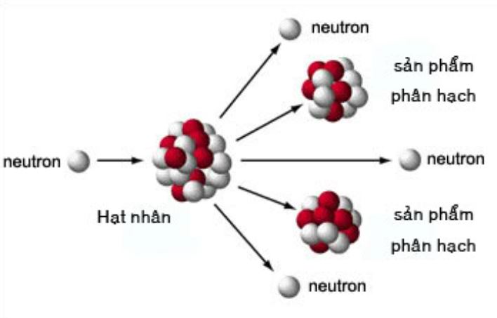 Khái niệm và đặc điểm của khối lượng hạt nhân trong hóa học