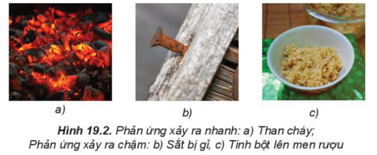 Tốc độ phân rã và các ứng dụng thực tế