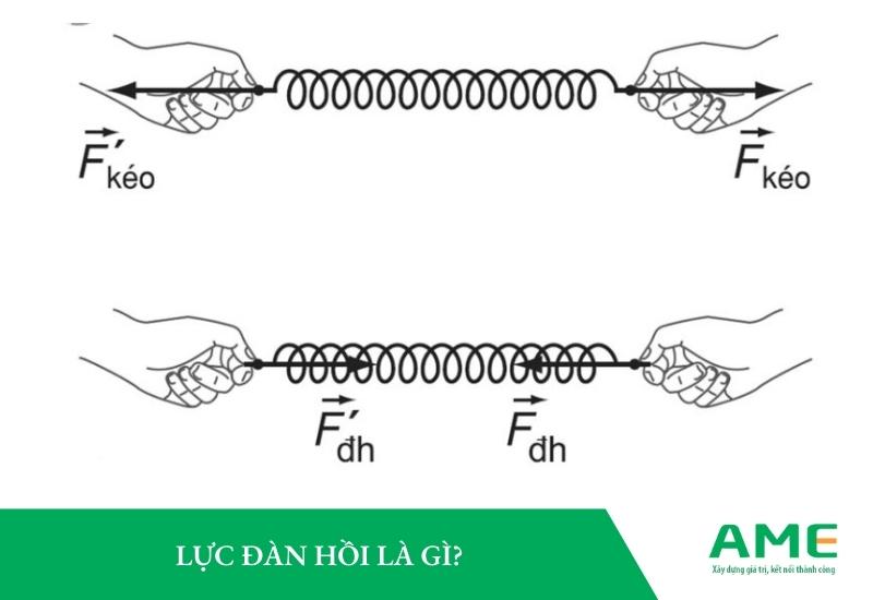 Tìm hiểu công thức lực đàn hồi và ứng dụng trong bài tập vật lý cơ bản