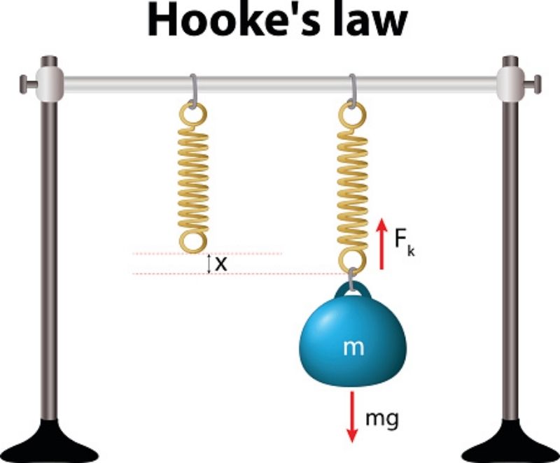 công thức tính định luật hooke