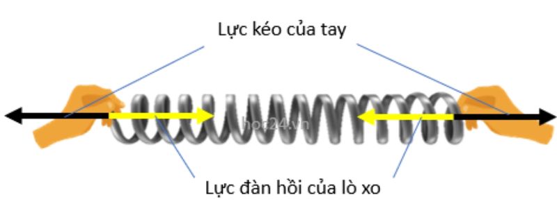 lực đàn hồi của lò xo